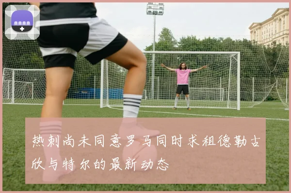 热刺尚未同意罗马同时求租德勒古欣与特尔的最新动态